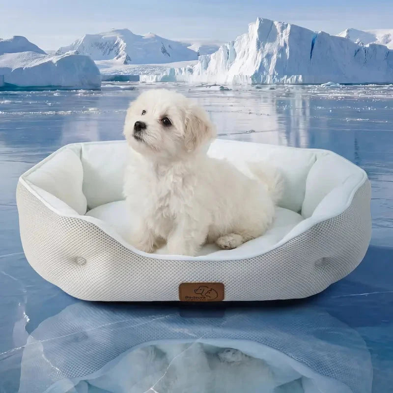 Tunnel Cat Bed - 2-in-1 Zip-Together Play & Nap Solution, Versatile Multi-Pet Furniture